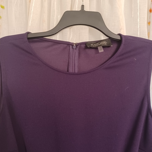 BLACK LABEL by EVAN- PICONE Plum Purple Classic Sleeveless Dress Size 16 - Picture 6 of 13